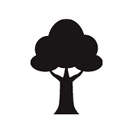 dctw tree client logo